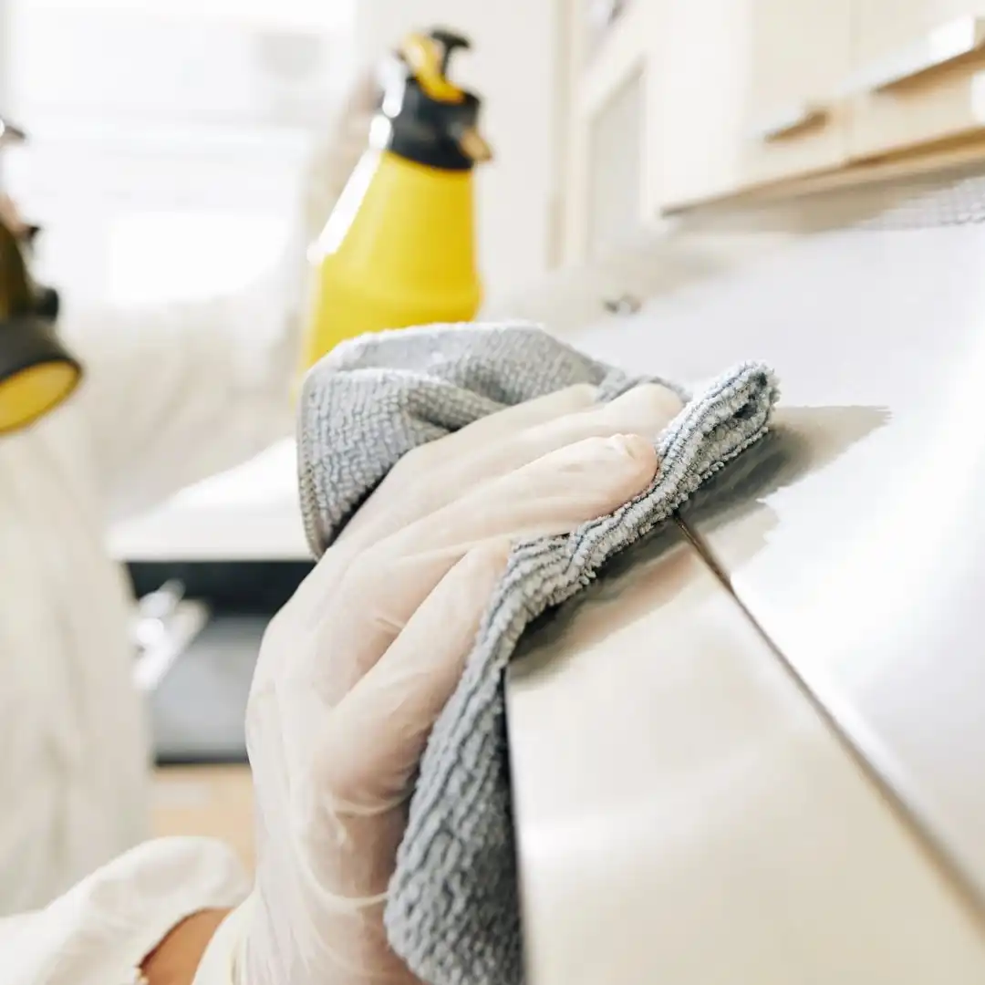 Indoor Mold Remediation Services Phoenix, AZ