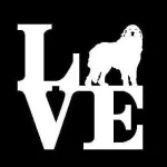 Forever Vent Client Review 2